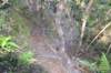 tunnelgully2015dec_50_wm_small.jpg