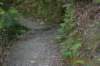 tunnelgully2015dec_52_wm_small.jpg