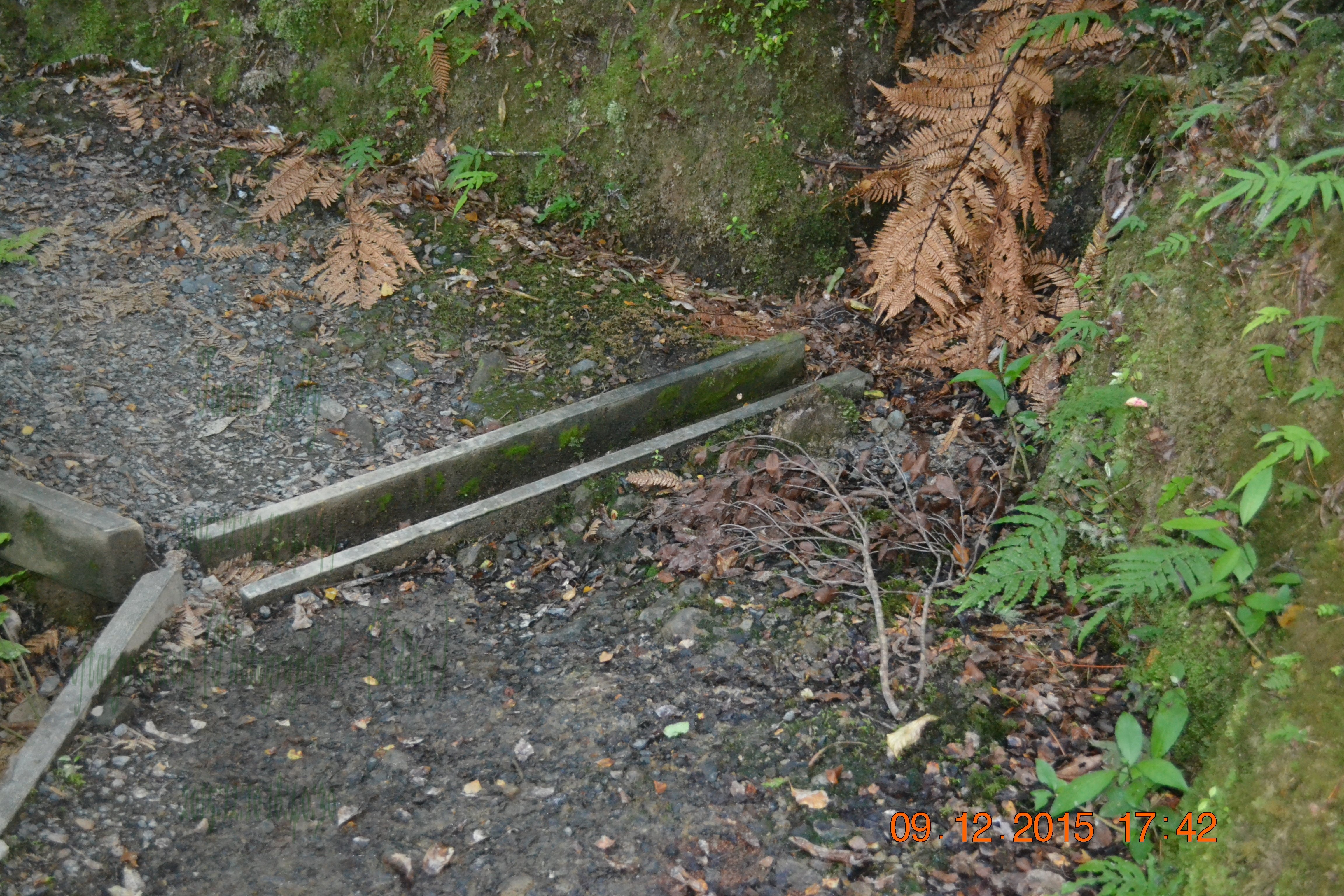 tunnelgully2015dec_53_wm.jpg