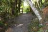 tunnelgully2015dec_54_wm_small.jpg