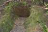 tunnelgully2015dec_55_wm_small.jpg