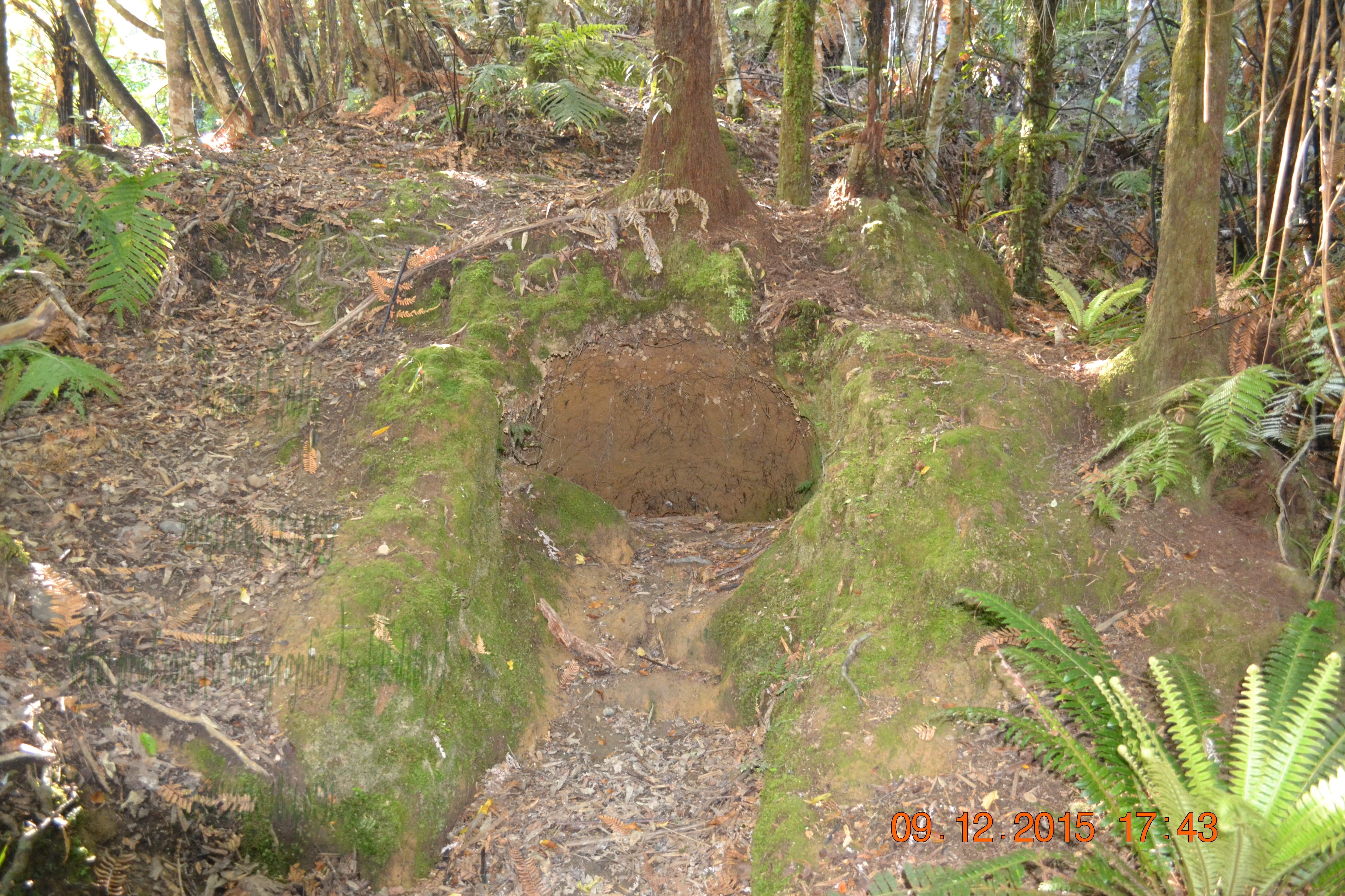 tunnelgully2015dec_56_wm.jpg