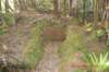 tunnelgully2015dec_56_wm_small.jpg