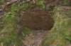 tunnelgully2015dec_57_wm_small.jpg