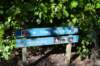tunnelgully2015dec_62_wm_small.jpg