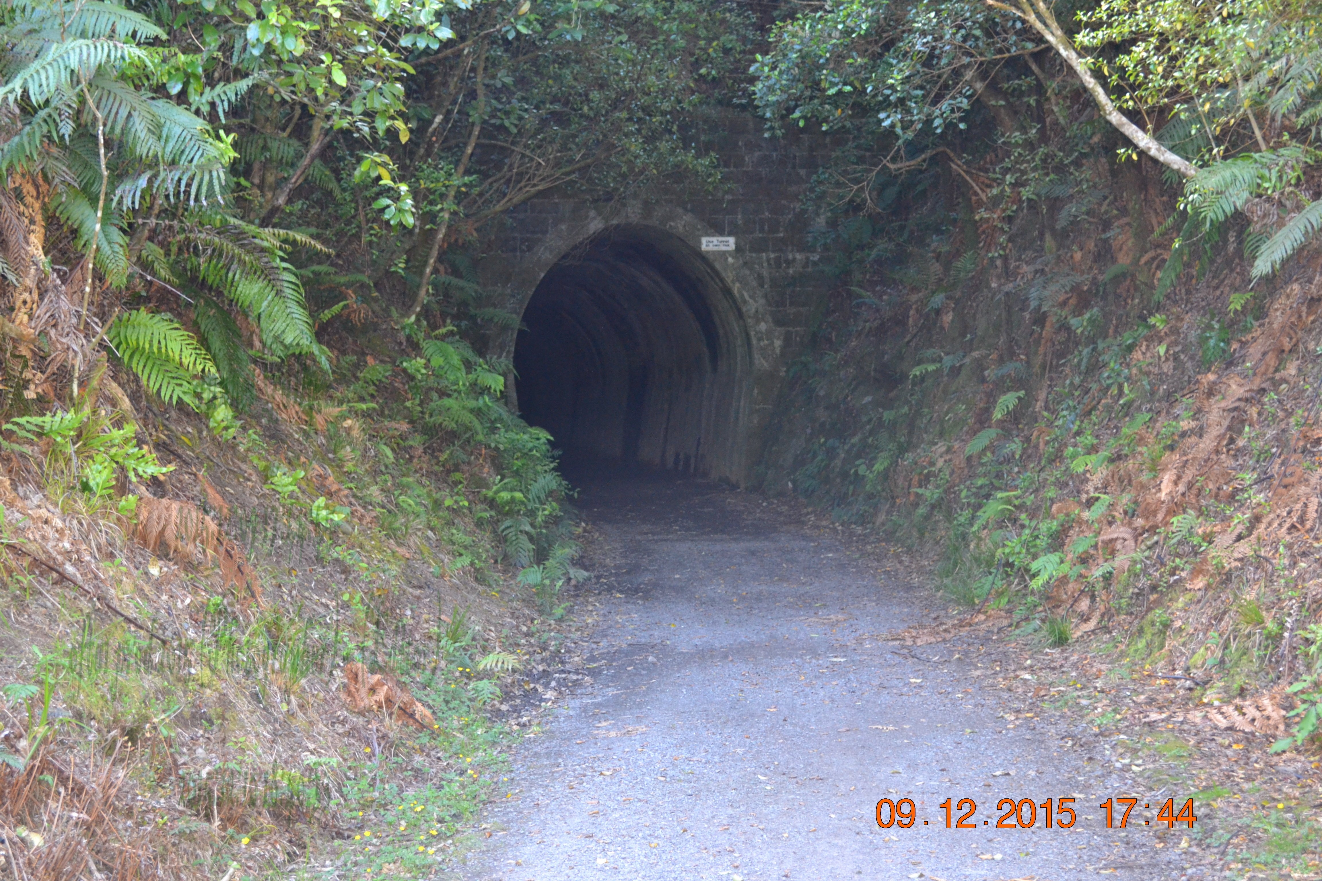 tunnelgully2015dec_63_wm.jpg