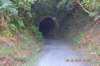 tunnelgully2015dec_63_wm_small.jpg