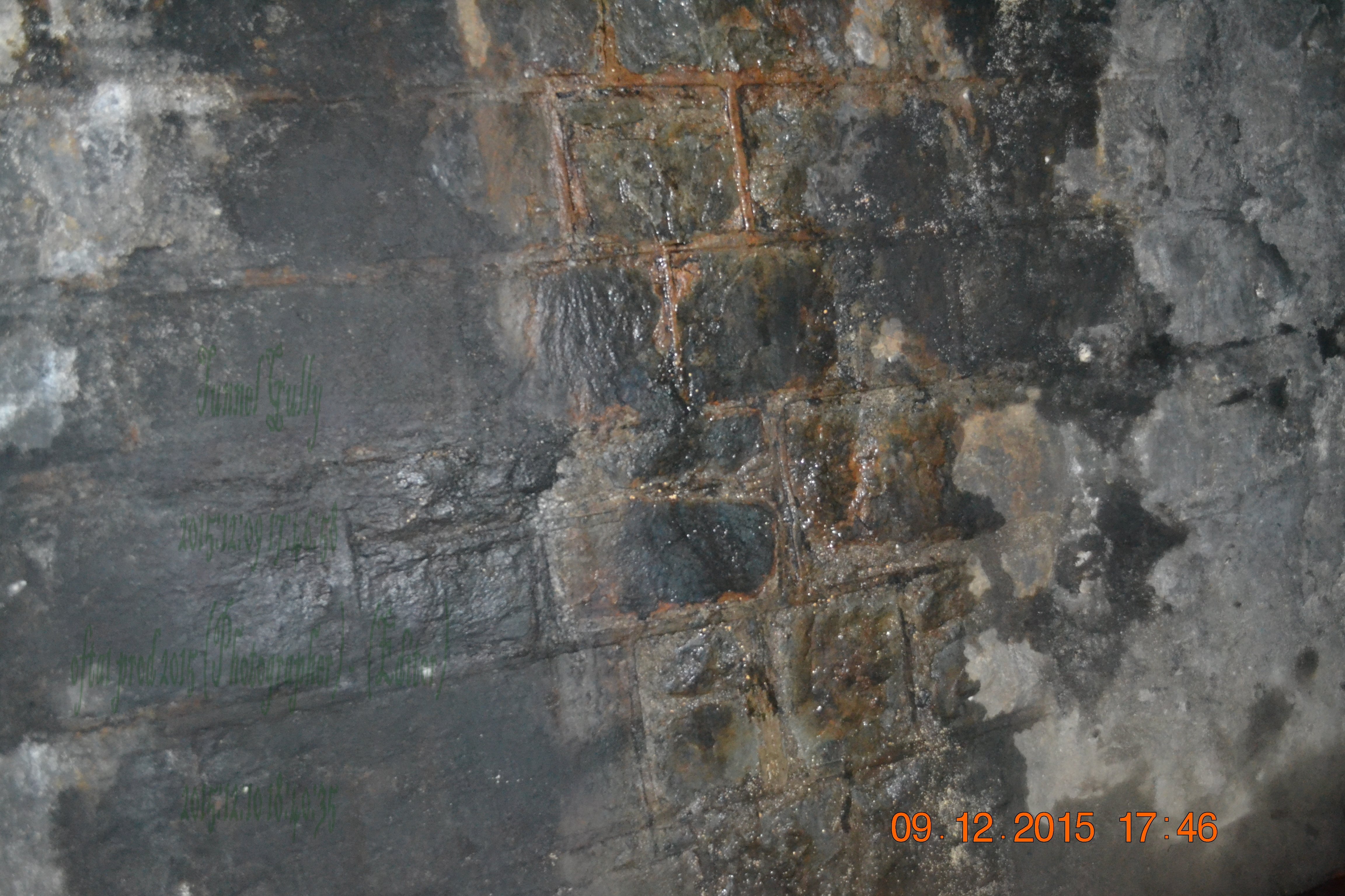 tunnelgully2015dec_69_wm.jpg