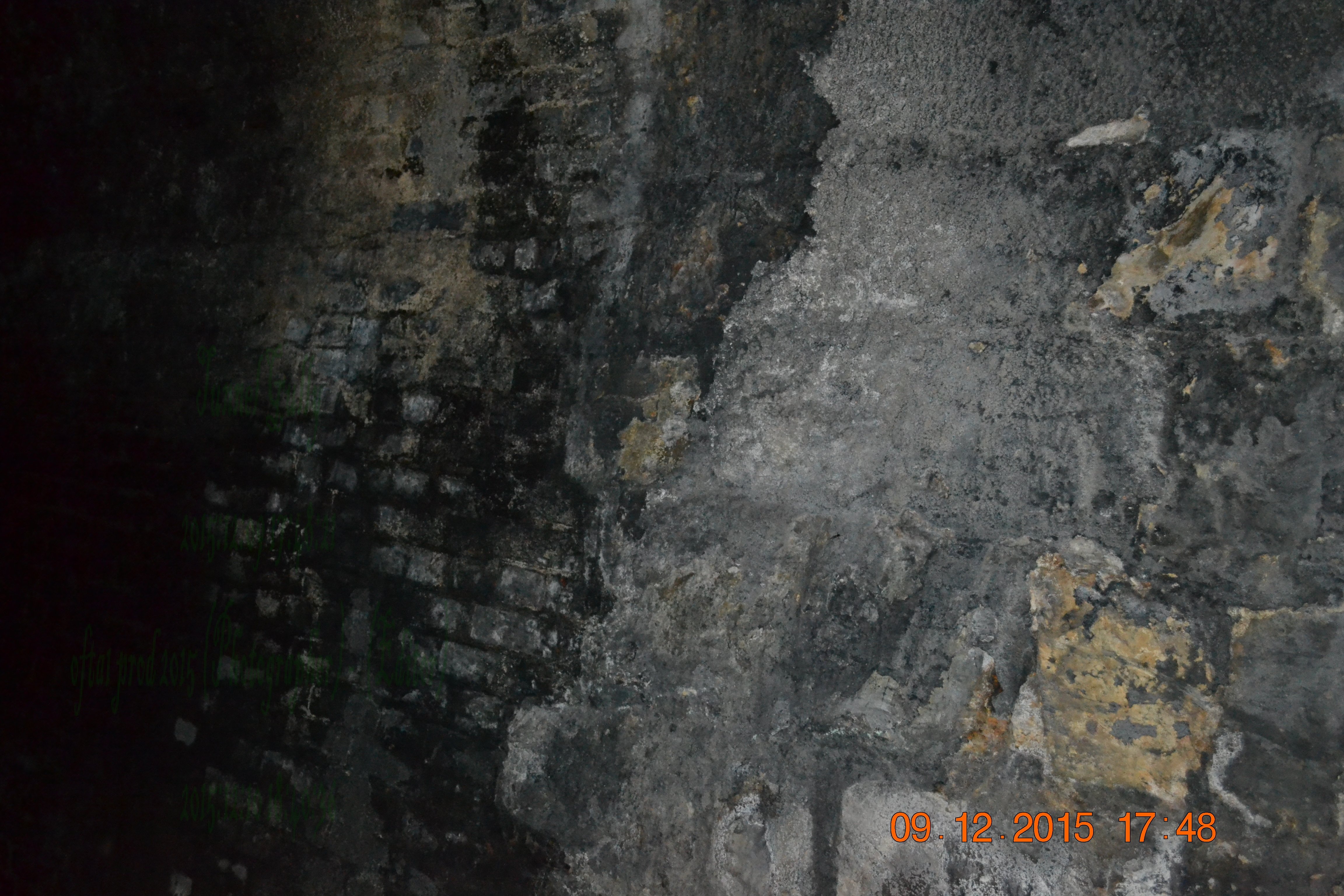 tunnelgully2015dec_71_wm.jpg