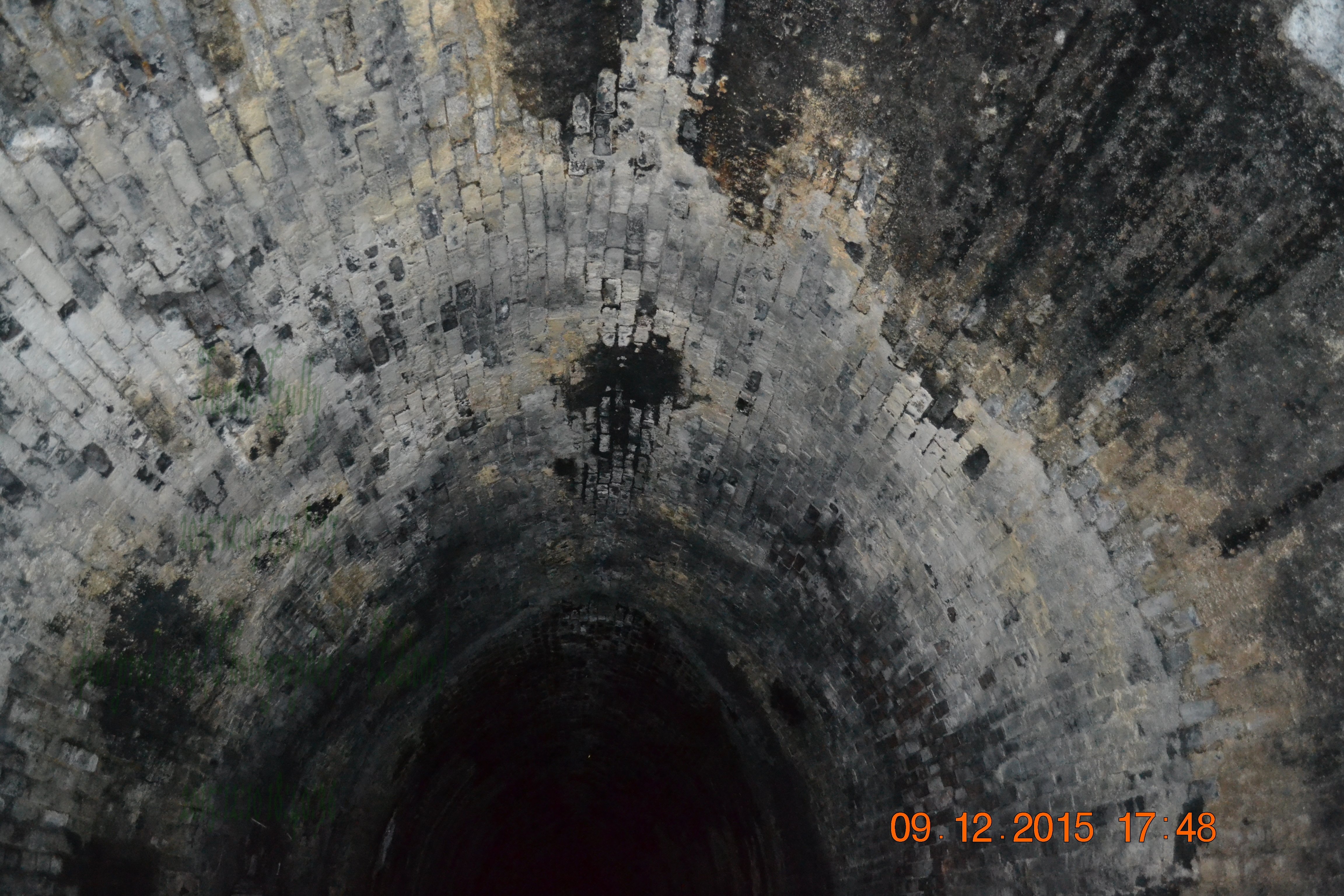 tunnelgully2015dec_72_wm.jpg