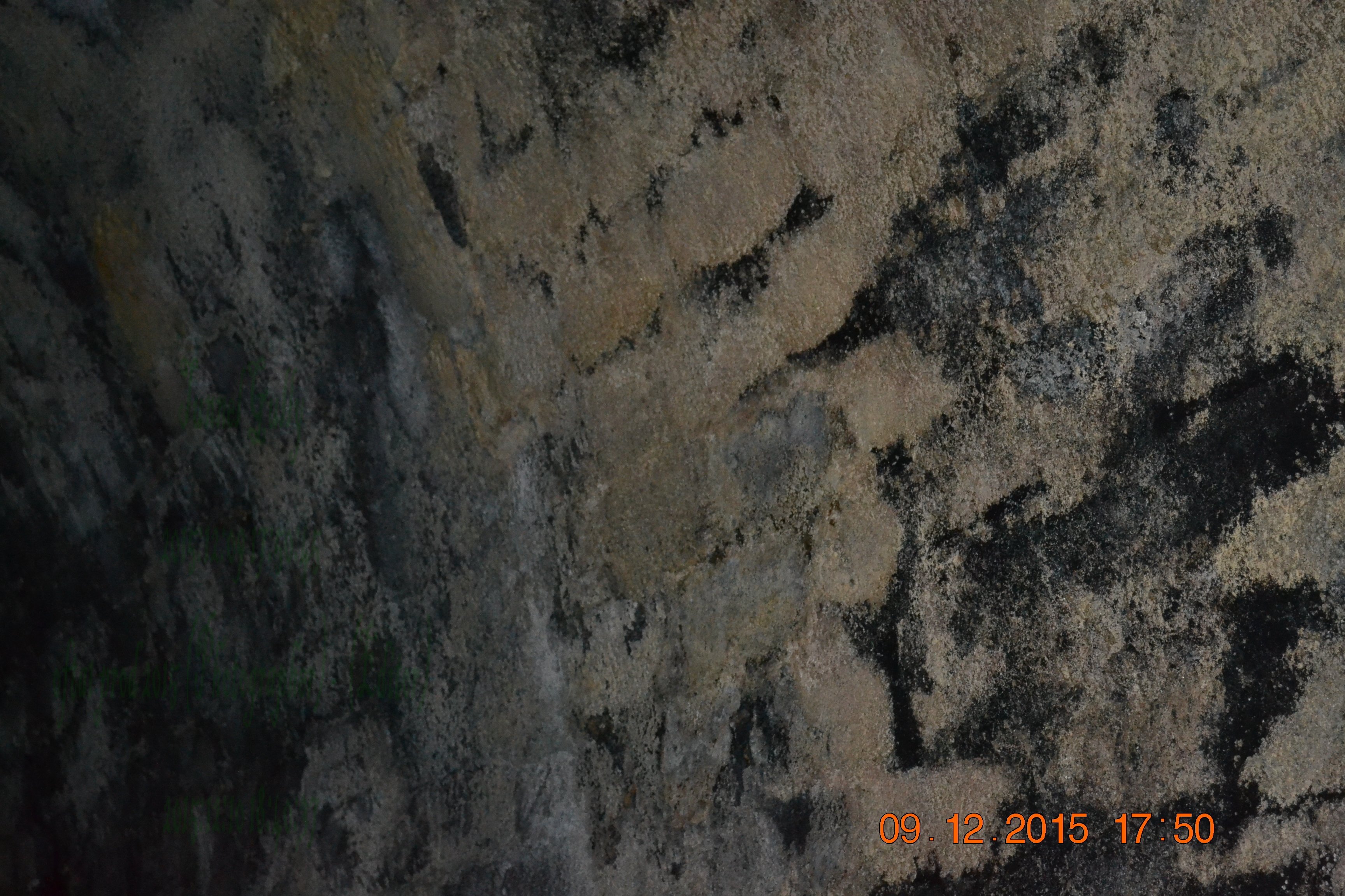tunnelgully2015dec_75_wm.jpg