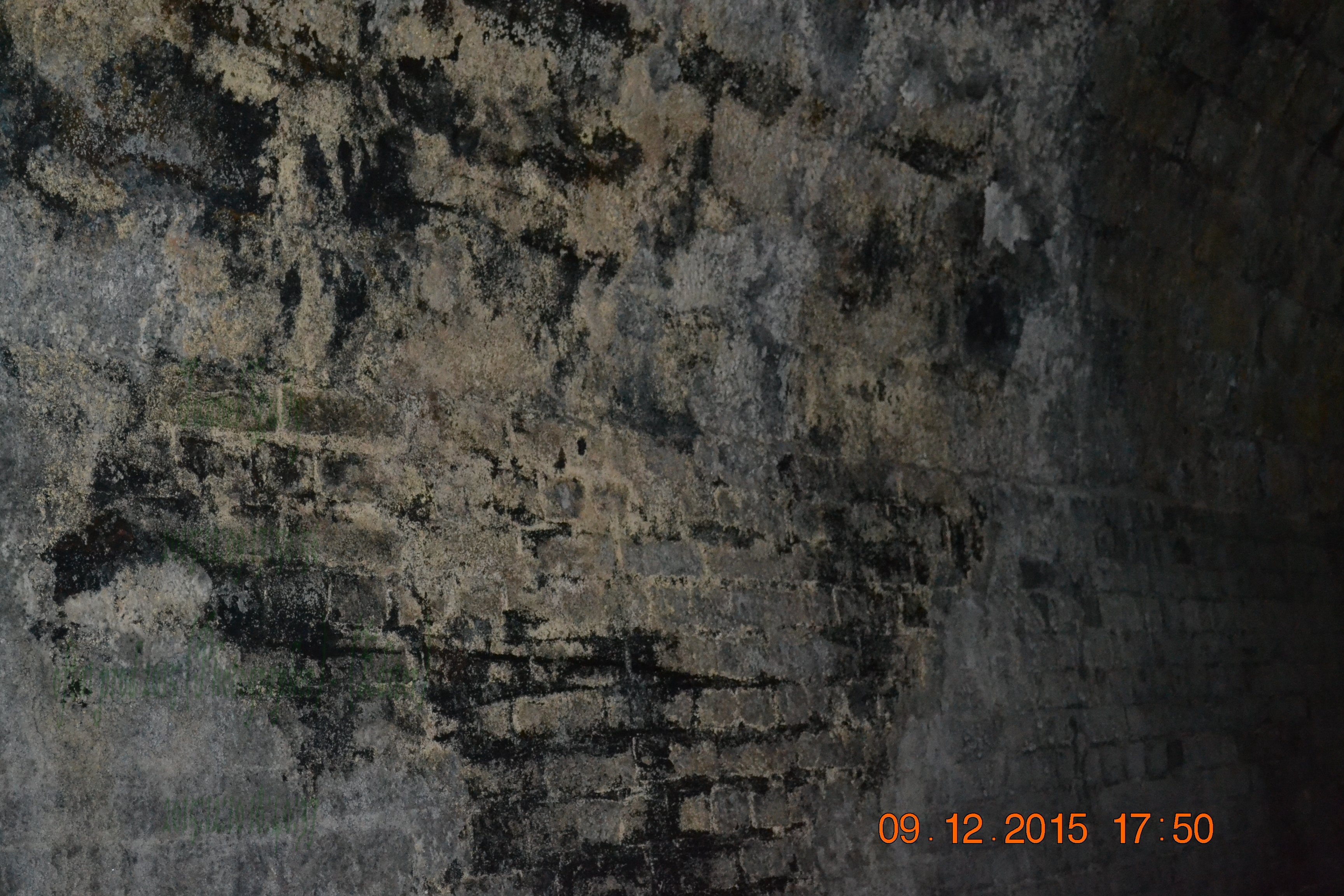 tunnelgully2015dec_76_wm.jpg