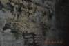 tunnelgully2015dec_76_wm_small.jpg