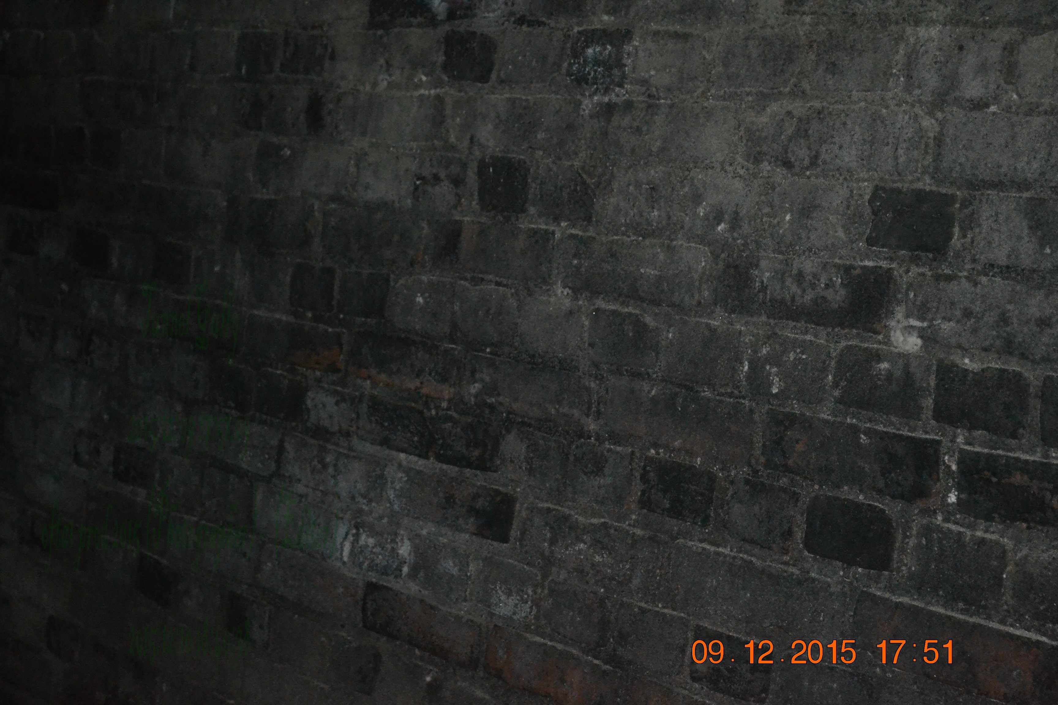 tunnelgully2015dec_77_wm.jpg