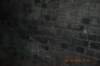 tunnelgully2015dec_77_wm_small.jpg