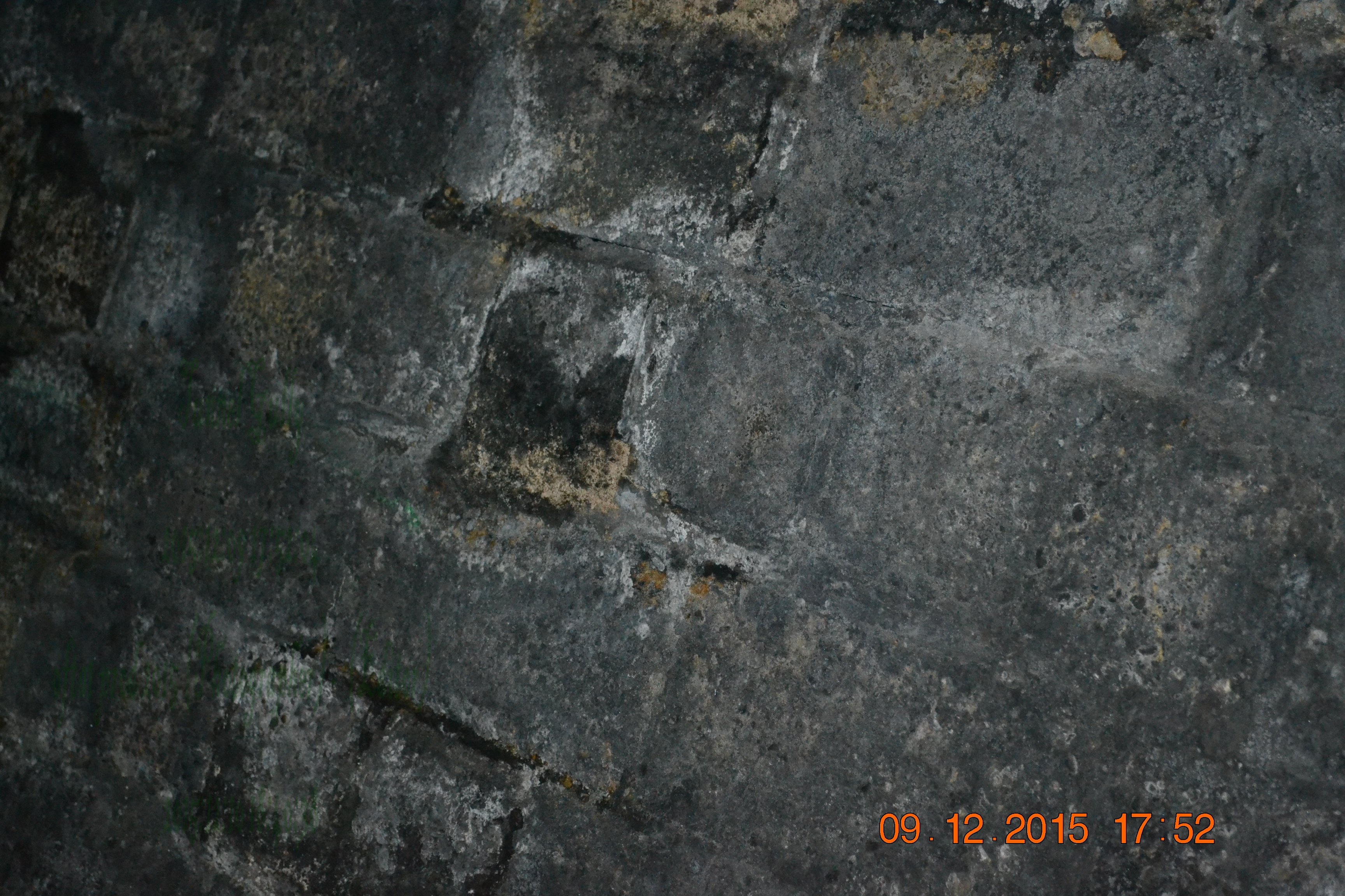 tunnelgully2015dec_81_wm.jpg