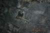 tunnelgully2015dec_81_wm_small.jpg