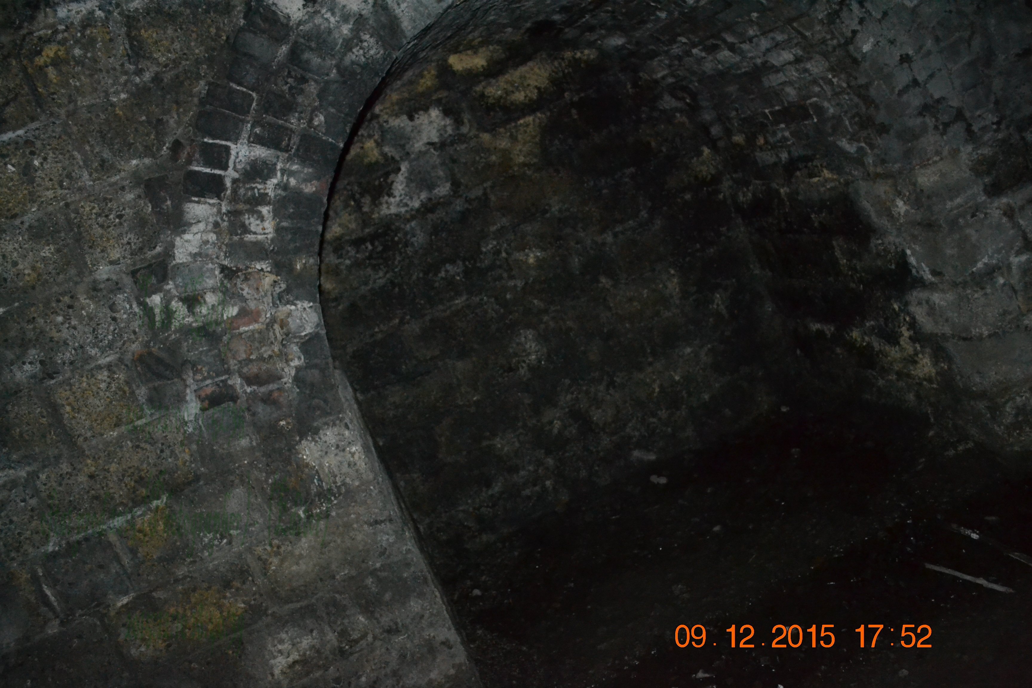 tunnelgully2015dec_83_wm.jpg