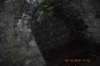 tunnelgully2015dec_83_wm_small.jpg
