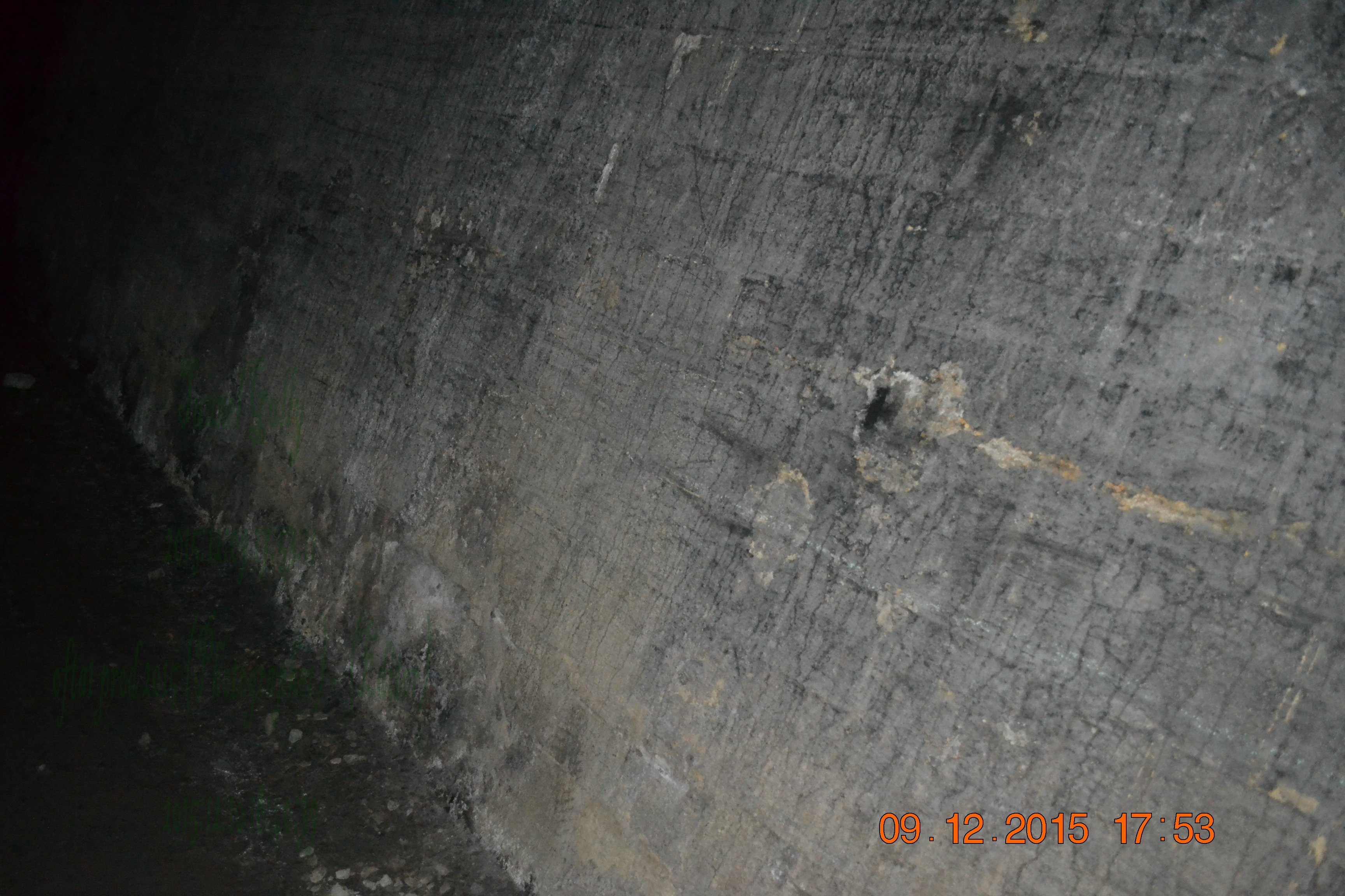 tunnelgully2015dec_86_wm.jpg