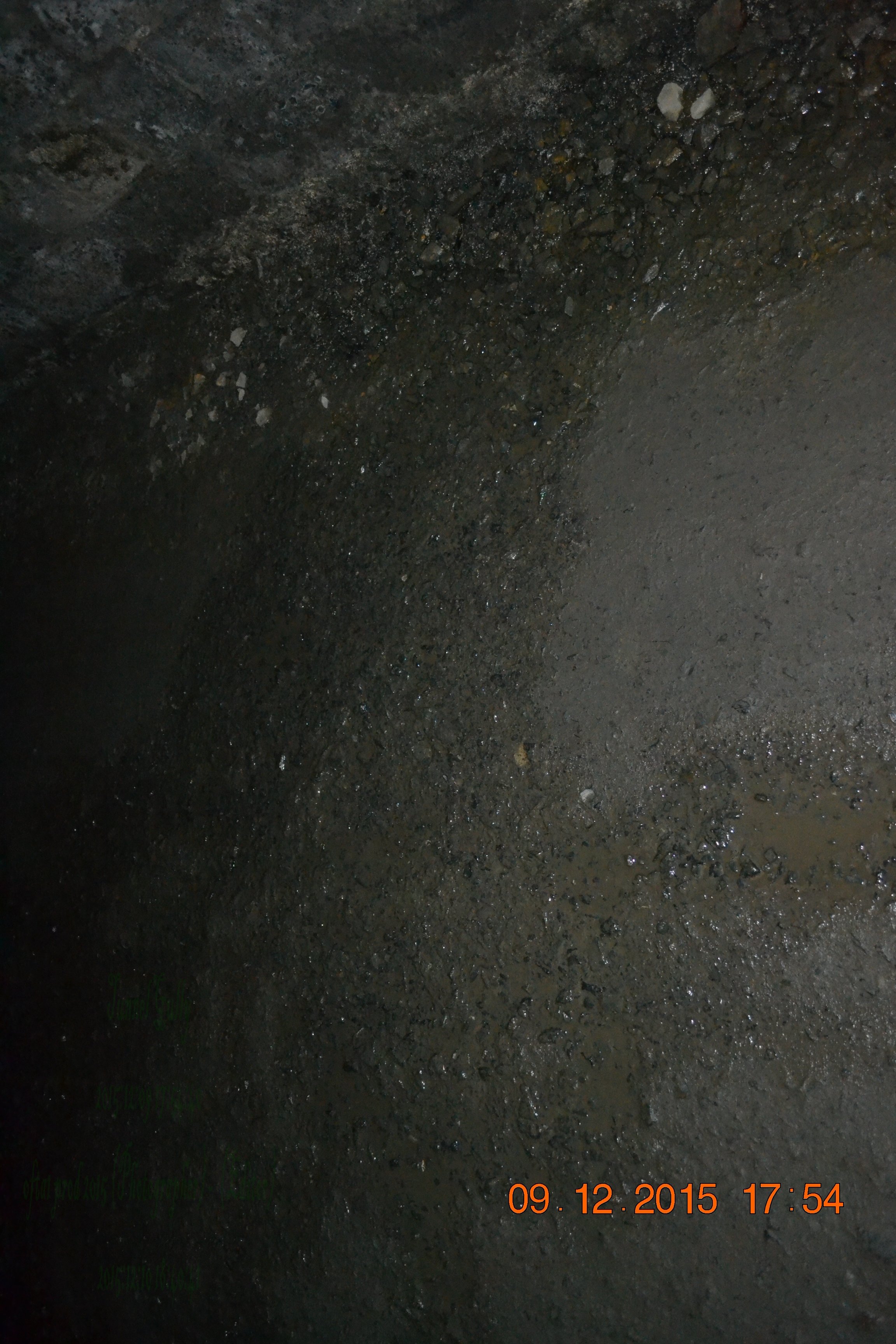 tunnelgully2015dec_91_wm.jpg
