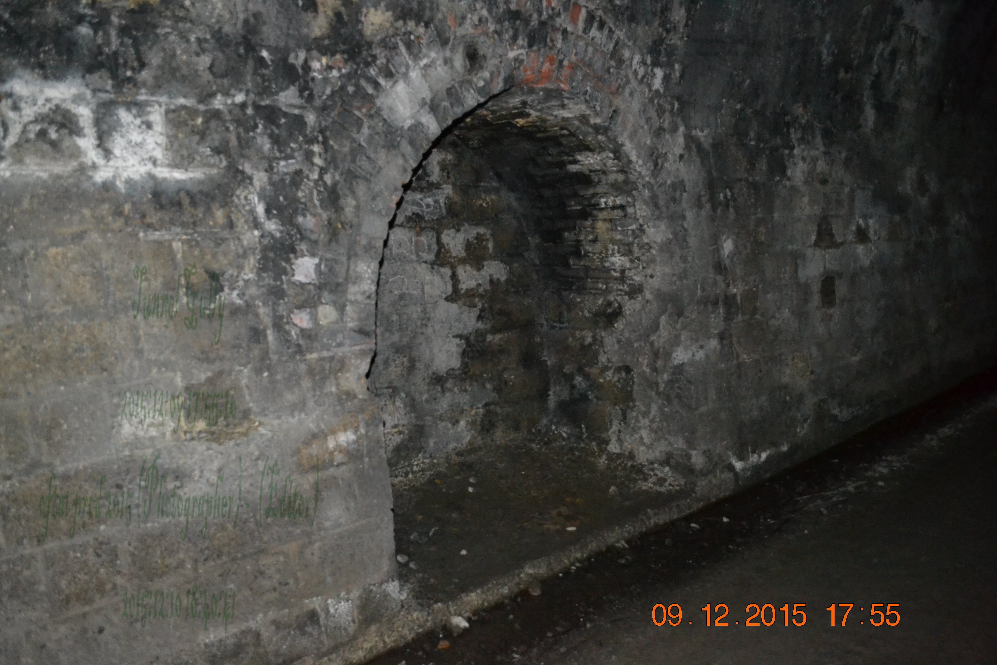 tunnelgully2015dec_92_wm.jpg