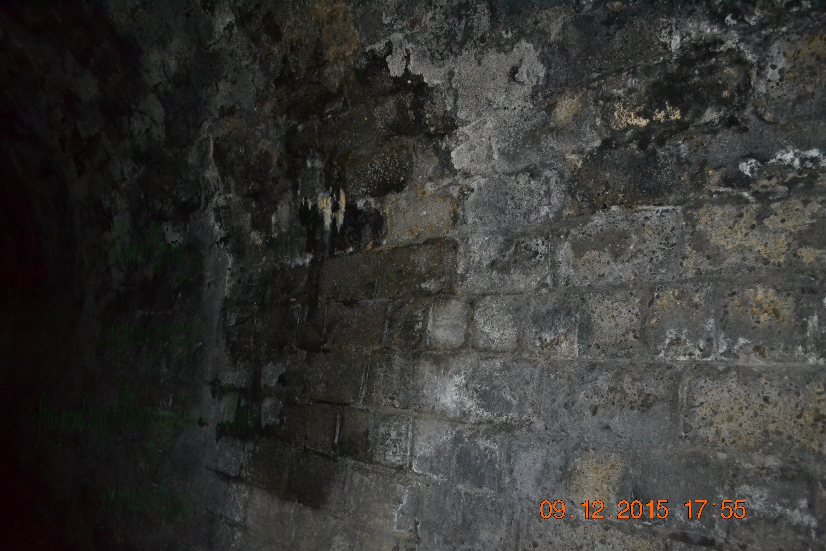 tunnelgully2015dec_93_wm.jpg