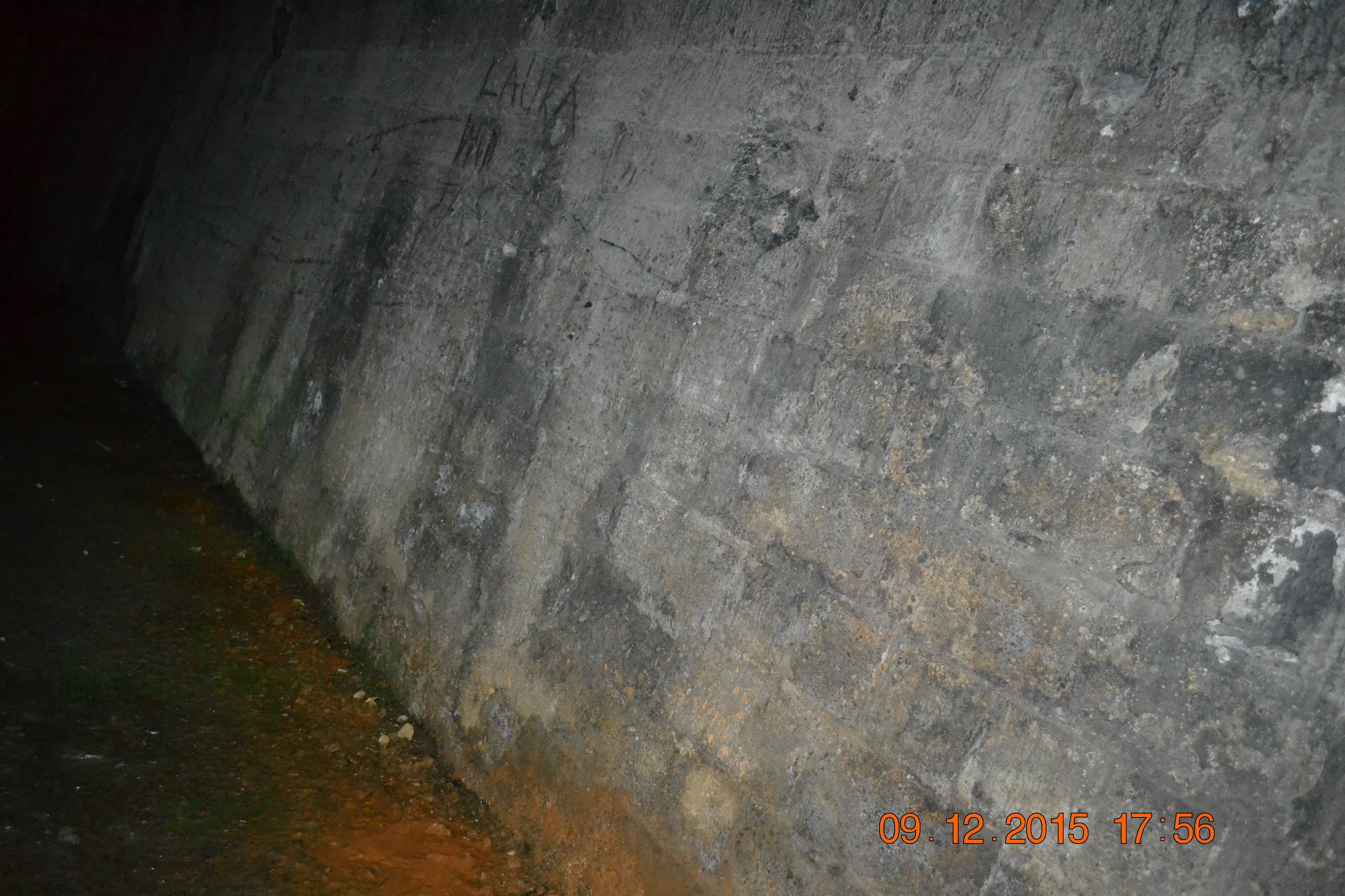 tunnelgully2015dec_95_wm.jpg