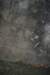 tunnelgully2015dec_96_wm_small.jpg