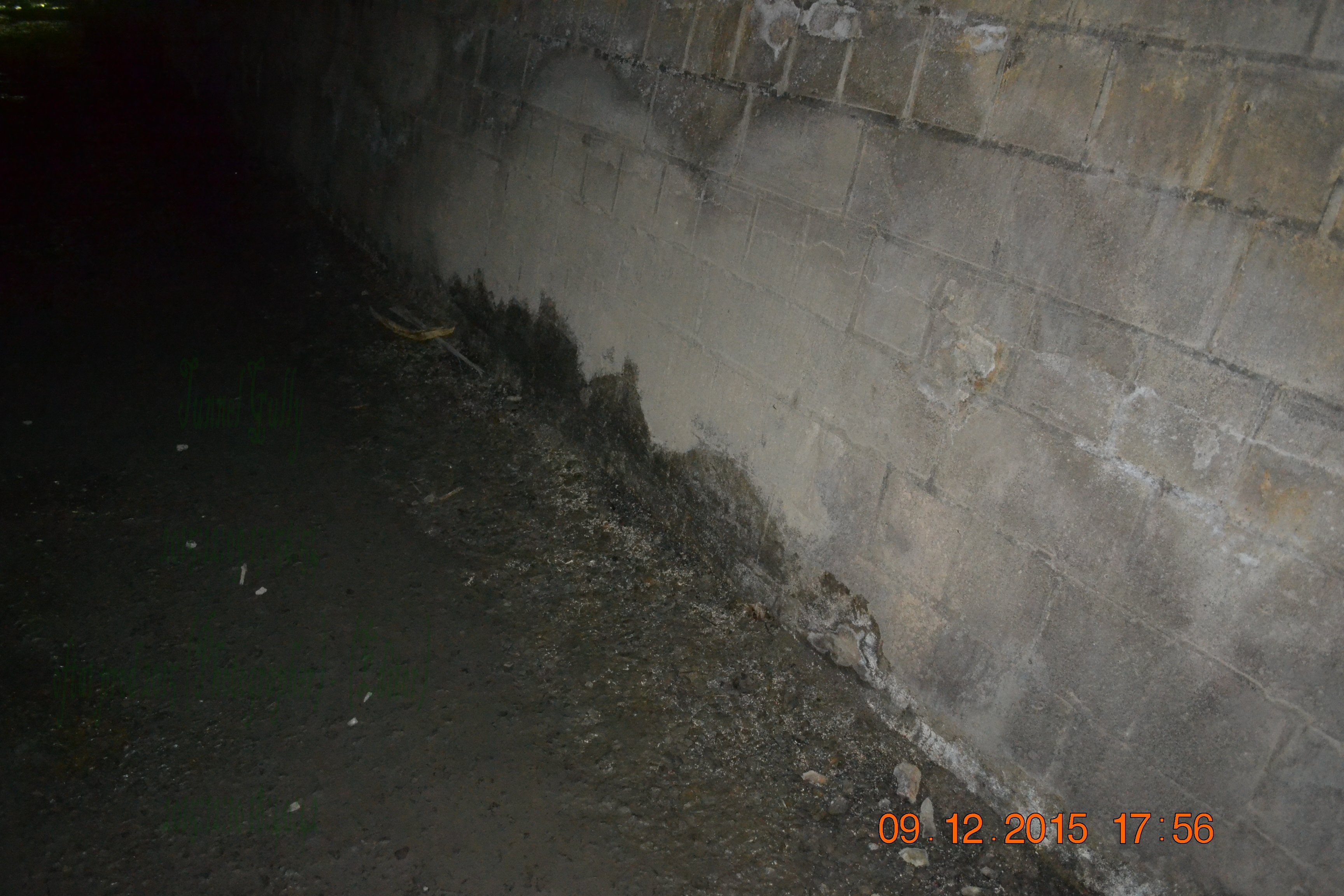 tunnelgully2015dec_97_wm.jpg